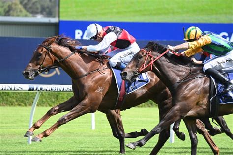 best bets randwick|Randwick Preview & Best Bets – 30/12/2023.